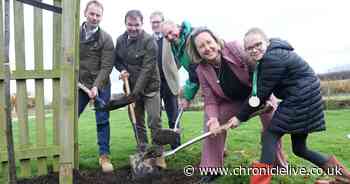Update on Great Northumberland Forest project as its hailed a huge boost for rural communities