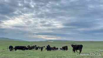 Alberta sees drought turnaround in much of the south, but little relief for Peace River region