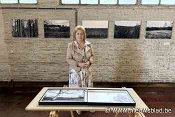 Gemeentemagazijnen geven laureatenexpo van Academie Noord een speciaal effect