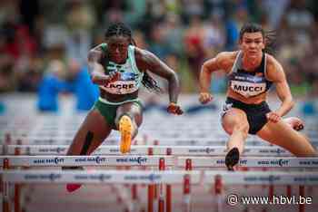 LIVE. Volg hier alles van de 45ste editie van de Nacht van de Atletiek in Heusden-Zolder