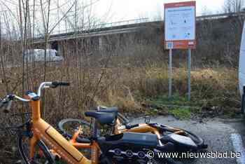 Gedaan met daten in bosjes P+R Oelegem: vegetatie wordt gerooid voor aanleg veel grotere carpoolparking met snelbushalte
