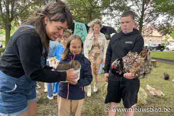Dorpsdag lokt veel jonge gezinnen ondanks winderig weertje