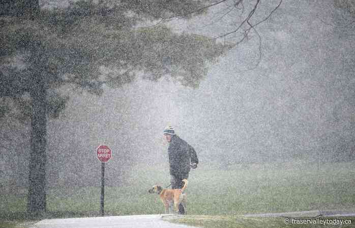 Witnesses report pea-sized hail as storm hits parts of B.C.’s south coast