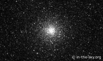 16 Jun 2024 (Tomorrow): NGC 6397 is well placed