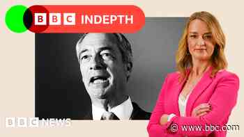 What does Nigel Farage really want?