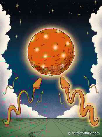 New Study Reveals: Father’s Pre-Conception Diet Plays Crucial Role in Child’s Health