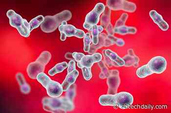 Innovative New Use of Acetaminophen Could Transform Sepsis Treatment