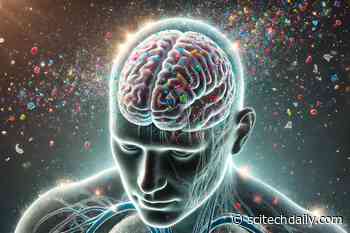 Invisible Invaders: How Microplastics Sneak Into Your Brain