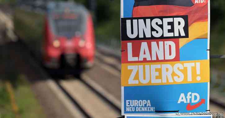 Historikerin warnt vor Überhöhung der AfD nach Europawahl