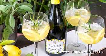Kick back and relax with Zonin Limoneto Spritz this summer