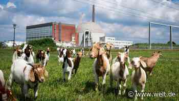 Der mühselige Abriss der deutschen Atomkraftwerke