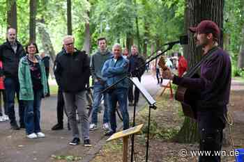 Grünflächenunterhaltung auf der Promenade begeistert