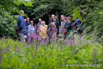 Buurtbewoners Berchemse Saffierstraat  blijven zich verzetten tegen aanleg ontbrekend stuk fietsostrade: “Het alternatief dat wij voorstellen is nooit serieus onderzocht”