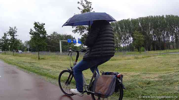 Het blijft maar regenen: onze weerman vertelt of er beter weer komt