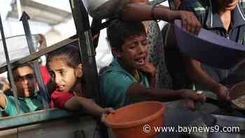 Israel's army says it will pause daytime fighting along a route in southern Gaza to help ramp up aid