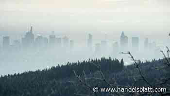 Klimawandel: So sieht Frankfurts Strategie gegen die Hitze aus