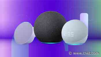 Alexa, Make It Mine: 6 Easy Alexa Settings to Personalize Your Smart Home Assistant     - CNET