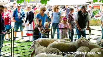 Schäferaktionstag Wildberg: Die Stimmung hätte kaum besser sein können