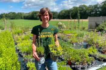 Gärtnerische Individualität in Levern