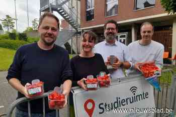 Groen Duffel trakteert studenten op lokale aardbeien en kerstomaten: “Gezonde boost geven”