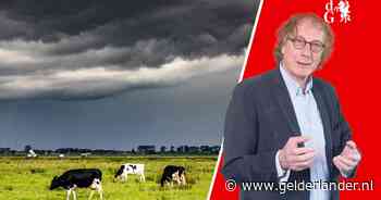 Het is een uitstekende eigenschap als je optimistisch bent