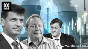 The Coalition says nuclear energy is 'commercially viable' — but what do the experts think?