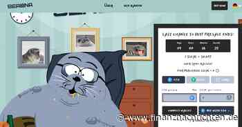 $WIF auf der Überholspur - Steigt der Coin in den nächsten 2 Wochen um über 90 Prozent?