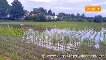 Geplanter Supermarkt in Egling: Kontroverse Debatte um Gutachten
