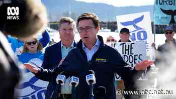 Opposition vows to scrap NSW offshore wind in Labor heartland