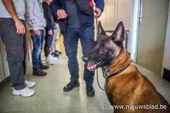 Politie controleert 180 personen in horecazaken in Mechelen en Willebroek: “65 onder hen zijn gekend voor eerder gepleegde feiten”