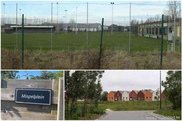 VERGETEN VELDEN. Hoe een liefdesaffaire het definitieve einde van het Mispelplein in Oostende inluidde