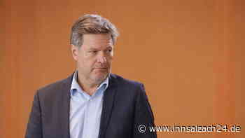 Vor Habeck-Besuch in China: Deutsche Firmen klagen über harten Preiskampf