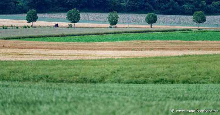 EU-Staaten beschließen umstrittenes Naturschutzgesetz