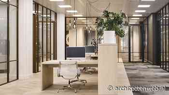 Stek Law II | Amsterdam