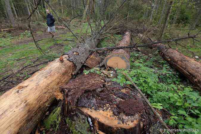 Landmark EU nature restoration plan gets the green light despite months of protests by farmers