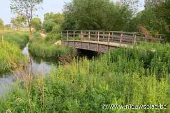 Schilderachtig Koeienstraatje buiten gebruik tot 21 juni