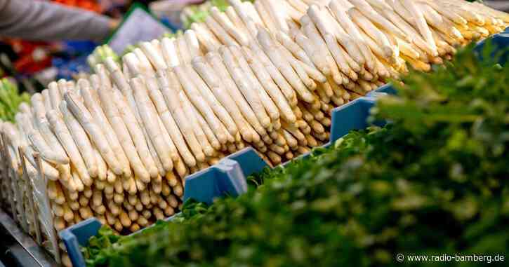 Spargel könnte zum Saisonende hin teurer werden