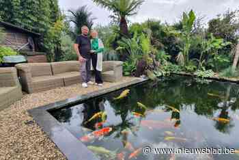 Johan en Christel zien droom in vervulling gaan en openen kijkboerderij: “We willen alle verstoten dieren een nieuwe thuis geven”