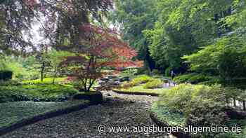 Nach Starkregen: Beleuchtungsabende im Botanischen Garten fallen vorerst aus