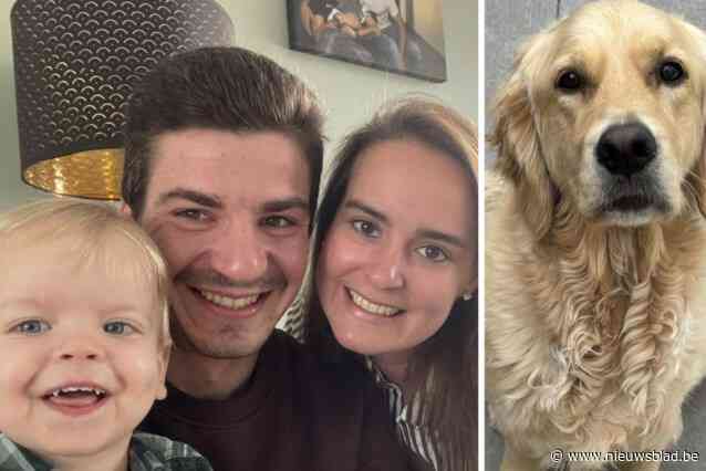 Rust zacht, lieve Ona. “Dikke ‘fuck you’ aan de klootzak die vergif heeft gesmeten in onze tuin”