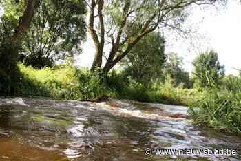 Werken aan vijvers Mariahof-Luysen regelen waterpeil