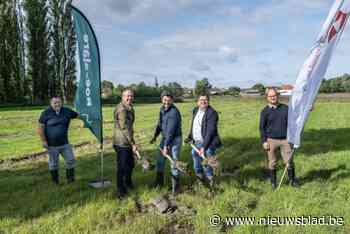 Nieuw overstromingsgebied moet Beitem beschermen tegen wateroverlast: “Maar kunnen pas starten als het droger is”