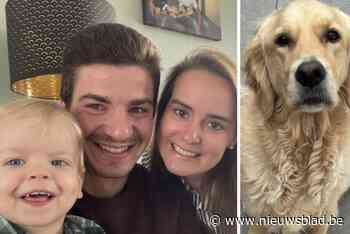 Familiehond Ona (5) sterft pijnlijke dood: “Gooide iemand vergif in onze tuin?”