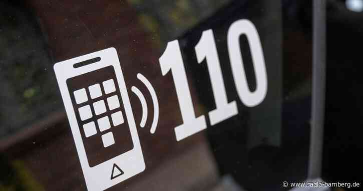 Eine Ente tot, eine verschwunden: Polizei ermittelt