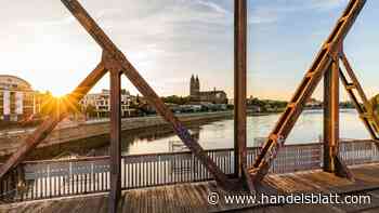 Trendviertel 2024 : Was Intels Chipfabrik für den Magdeburger Immobilienmarkt bedeutet