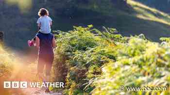 Is summer finally about to turn up?