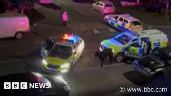 Police who hit cow 'probably right', says farmer