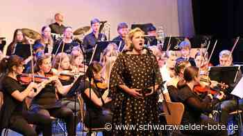 Nagold und   Jesenice: Der  Leuchtturm unter den deutsch-slowenischen Partnerschaften