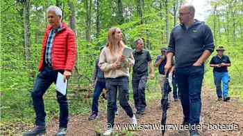 Ausgleichsmaßnahmen für die Hesse-Bahn: Bald gibt es wieder eine Waldweide