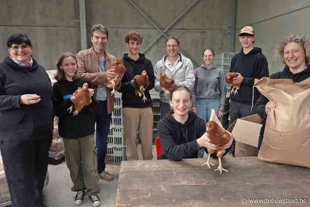 240 kippen maken Gooikse afvalberg 10 ton kleiner